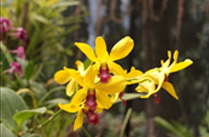 Great Wall Excursion