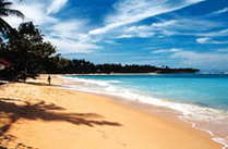 Shanghai Sightseeing